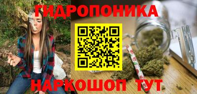 гидропоника Чапаевск