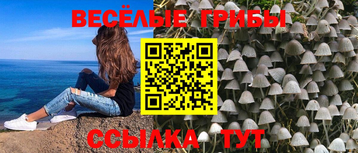 Галлюциногенные грибы мухоморы Орск