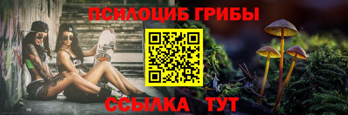 Орск  Псилоцибиновые грибы ЛСД  Вход с VPN 